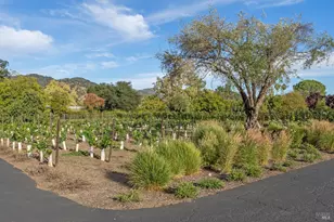 3033 Myrtledale Rd, Calistoga, CA 94515 - Photo 64