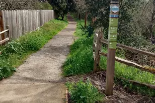 7 Kingston Way, Cotati, CA 94931 - Photo 40