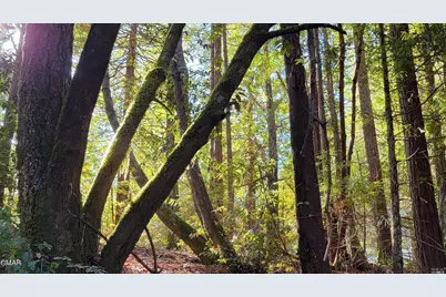 12301 Docker Hill Road, Comptche, CA 95427 - Photo 22