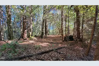 12301 Docker Hill Road, Comptche, CA 95427 - Photo 28