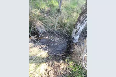 4300 Spyrock Road, Laytonville, CA 95585 - Photo 4