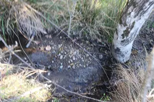 4300 Spyrock Rd, Laytonville, CA 95585 - Photo 4