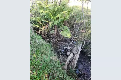 4300 Spyrock Road, Laytonville, CA 95585 - Photo 2