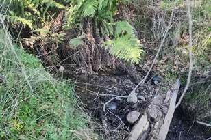 4300 Spyrock Rd, Laytonville, CA 95585 - Photo 2