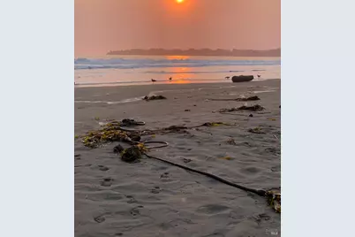 40 Arenal Avenue, Stinson Beach, CA 94970 - Photo 90