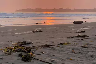 40 Arenal Ave, Stinson Beach, CA 94970 - Photo 90