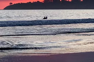 40 Arenal Ave, Stinson Beach, CA 94970 - Photo 96