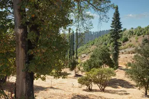 9451 Mill Creek Rd, Healdsburg, CA 95448 - Photo 24