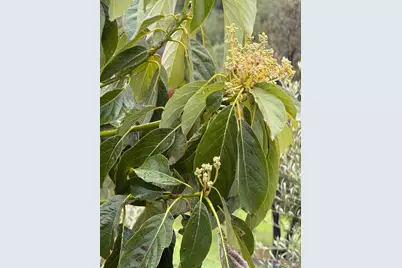 9451 Mill Creek Road, Healdsburg, CA 95448 - Photo 54