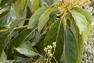 9451 Mill Creek Rd, Healdsburg, CA 95448 - Photo 54