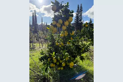 9451 Mill Creek Road, Healdsburg, CA 95448 - Photo 58