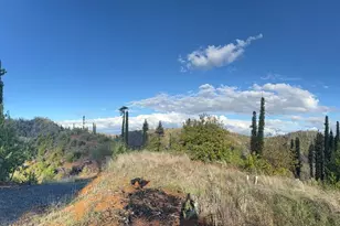 9451 Mill Creek Rd, Healdsburg, CA 95448 - Photo 40