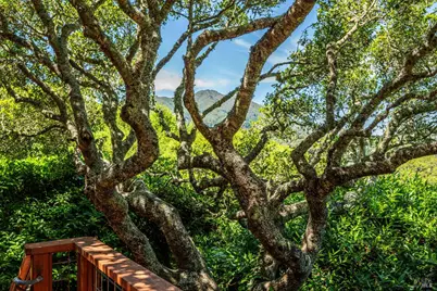 38 Helens Lane, Mill Valley, CA 94941 - Photo 20