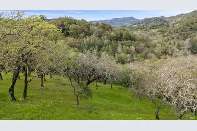 1160 Dance Drive, Sonoma, CA 95476 - Photo 60