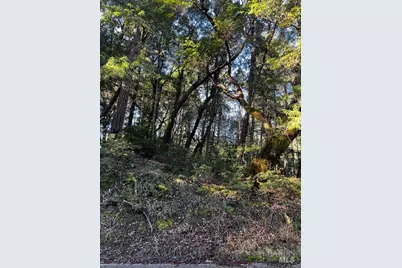 24419 Cypress Drive, Willits, CA 95490 - Photo 2