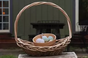 5563 McFarlane Rd, Sebastopol, CA 95472 - Photo 64