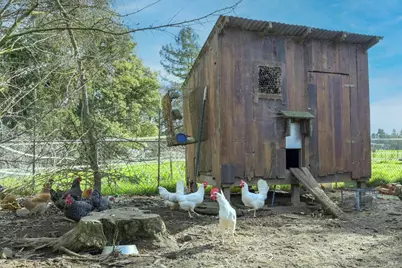 5563 McFarlane Road, Sebastopol, CA 95472 - Photo 46