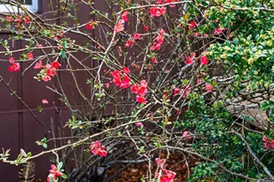 8400 Blackney Rd, Sebastopol, CA 95472 - Photo 32