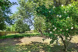 3950 Hicks Rd, Sebastopol, CA 95472 - Photo 26