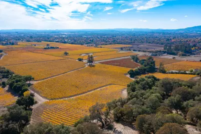 1276 Jensen Lane, Windsor, CA 95492 - Photo 32