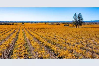 1276 Jensen Lane, Windsor, CA 95492 - Photo 34