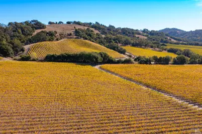 1276 Jensen Lane, Windsor, CA 95492 - Photo 20