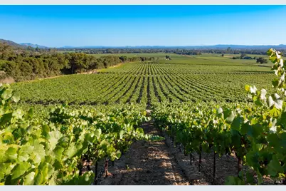 1276 Jensen Lane, Windsor, CA 95492 - Photo 22