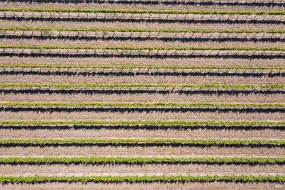 1276 Jensen Lane, Windsor, CA 95492 - Photo 26