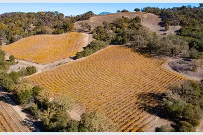 1276 Jensen Lane, Windsor, CA 95492 - Photo 30