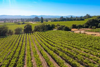 1276 Jensen Lane, Windsor, CA 95492 - Photo 18