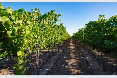 1276 Jensen Lane, Windsor, CA 95492 - Photo 38