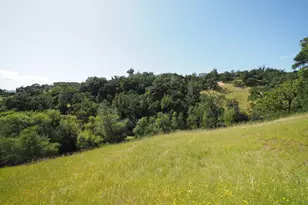 1575 Fox Ridge Rd, Geyserville, CA 95441 - Photo 46