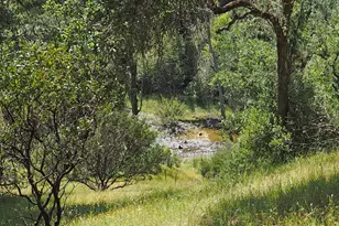 1575 Fox Ridge Rd, Geyserville, CA 95441 - Photo 50
