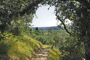 1575 Fox Ridge Rd, Geyserville, CA 95441 - Photo 44