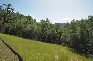 1575 Fox Ridge Rd, Geyserville, CA 95441 - Photo 48