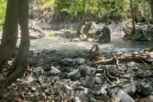 29890 Mendocino Pass Rd, Covelo, CA 95428 - Photo 1