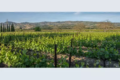 5045 Big Ranch Road, Napa, CA 94558 - Photo 50