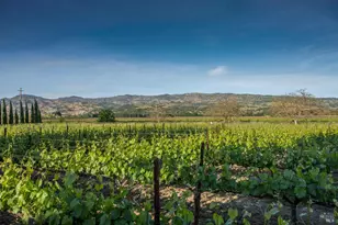 5045 Big Ranch Rd, Napa, CA 94558 - Photo 50