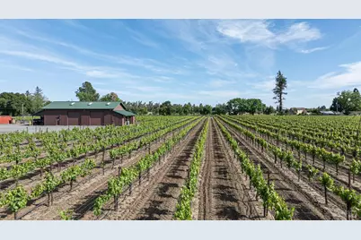 390 Magnolia Drive, Healdsburg, CA 95448 - Photo 4