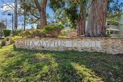 115 Eucalyptus Knoll Street, Mill Valley, CA 94941 - Photo 34