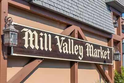 115 Eucalyptus Knoll Street, Mill Valley, CA 94941 - Photo 40