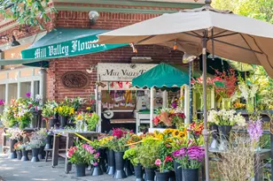 115 Eucalyptus Knoll St, Mill Valley, CA 94941 - Photo 42