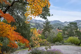 16 Dutch Valley Ln, San Anselmo, CA 94960 - Photo 48