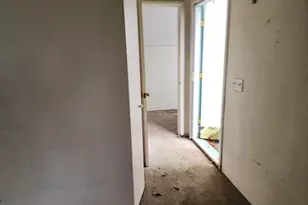 480 Scenic Ave, San Anselmo, CA 94960 - Photo 4