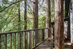 7456 Sir Francis Drake Blvd, Lagunitas, CA 94938 - Photo 76