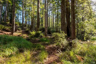33300 Sea Forest Drive, The Sea Ranch, CA 95497 - Photo 42