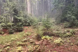 37162 Schooner Dr, The Sea Ranch, CA 95497 - Photo 38