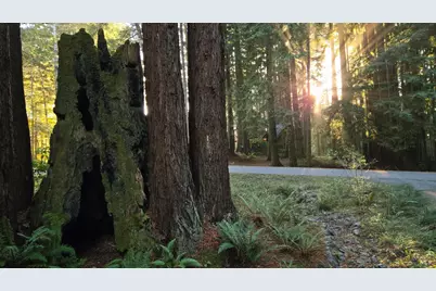 37162 Schooner Drive, The Sea Ranch, CA 95497 - Photo 36