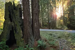 37162 Schooner Dr, The Sea Ranch, CA 95497 - Photo 36