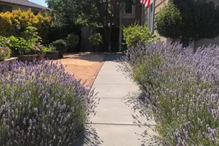 1610 Northstar Dr, Petaluma, CA 94954 - Photo 30